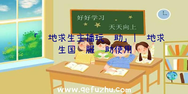 「绝地求生主播玩辅助」|绝地求生国际服辅助使用